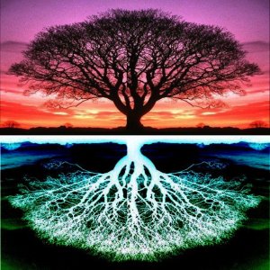 TreeOfLife4